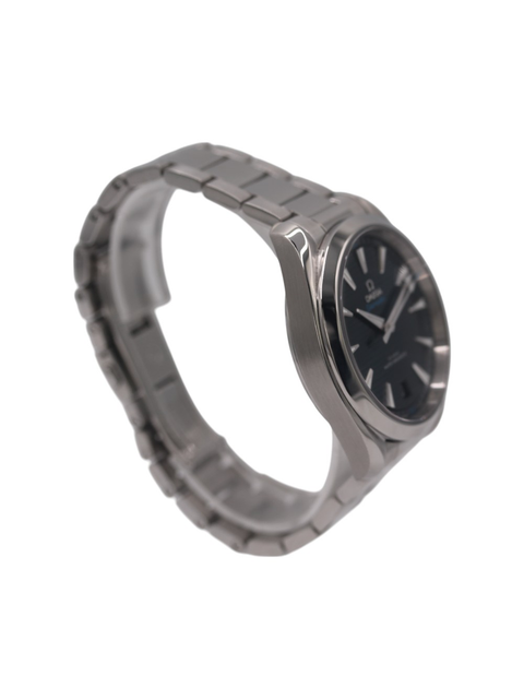 Omega Aqua Terra 150m Gents 220.10.41.21.03.001 Image 4